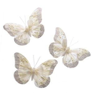 Sada motýlů se skřipcem, 3 ks, 18 cm obraz