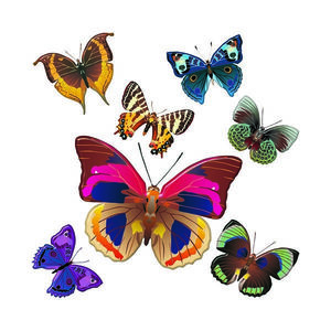 Samolepicí dekorace Butterflies, 30 x 30 cm obraz