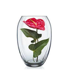 Crystalex Skleněná váza Bohemia Crystal 225 mm obraz