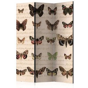 Paraván Retro Style: Butterflies Dekorhome 135x172 cm (3-dílný), Paraván Retro Style: Butterflies Dekorhome 135x172 cm (3-dílný) obraz