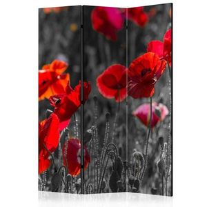 Paraván Red Poppies Dekorhome 135x172 cm (3-dílný) obraz