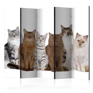 Paraván Sweet Cats Dekorhome 225x172 cm (5-dílný), Paraván Sweet Cats Dekorhome 225x172 cm (5-dílný) obraz