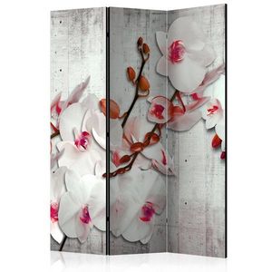 Paraván Concrete Orchid Dekorhome 135x172 cm (3-dílný) obraz