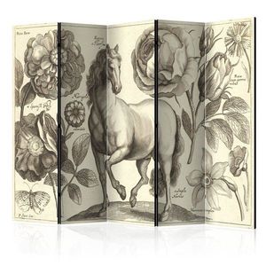Paraván Horse Dekorhome 225x172 cm (5-dílný) obraz