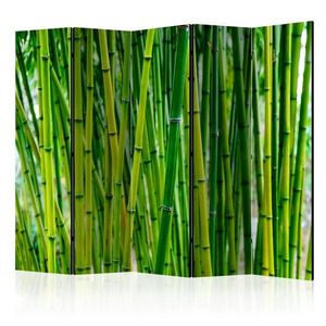 Paraván Bamboo Forest Dekorhome 225x172 cm (5-dílný) obraz