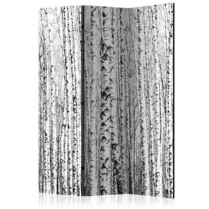 Paraván Birch forest Dekorhome 135x172 cm (3-dílný), Paraván Birch forest Dekorhome 135x172 cm (3-dílný) obraz
