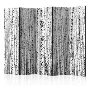 Paraván Birch forest Dekorhome 225x172 cm (5-dílný), Paraván Birch forest Dekorhome 225x172 cm (5-dílný) obraz