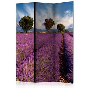 Paraván Lavender field in Provence, France Dekorhome 135x172 cm (3-dílný) obraz