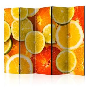 Paraván Citrus fruits Dekorhome 225x172 cm (5-dílný), Paraván Citrus fruits Dekorhome 225x172 cm (5-dílný) obraz