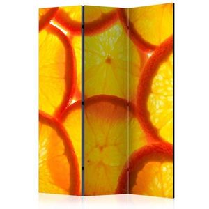 Paraván Orange slices Dekorhome 135x172 cm (3-dílný), Paraván Orange slices Dekorhome 135x172 cm (3-dílný) obraz