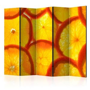 Paraván Orange slices Dekorhome 225x172 cm (5-dílný), Paraván Orange slices Dekorhome 225x172 cm (5-dílný) obraz