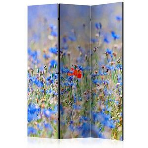 Paraván A sky-colored meadow - cornflowers Dekorhome 135x172 cm (3-dílný) obraz