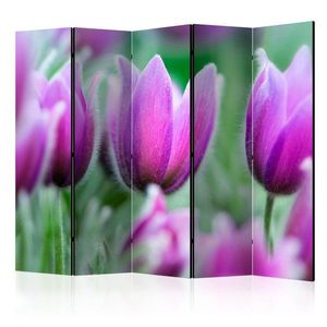 Paraván Purple spring tulips Dekorhome 225x172 cm (5-dílný) obraz