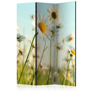 Paraván Daisies - spring meadow Dekorhome 135x172 cm (3-dílný) obraz
