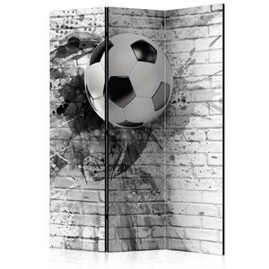 Paraván Dynamic Football Dekorhome 135x172 cm (3-dílný) obraz