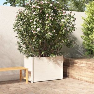 Zahradní truhlík borovice Dekorhome Bílá obraz