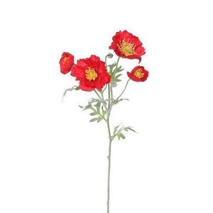 Vlčí mák 4 květy, v. 52 cm, červená obraz