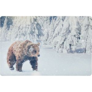 Rohožka Medvěd, 38 x 58 cm obraz
