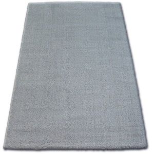 Dywany Lusczow Kusový koberec SHAGGY MICRO stříbrný, velikost 60x100 obraz