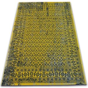 Dywany Lusczow Kusový koberec VINTAGE 22209/025, velikost 120x170 obraz