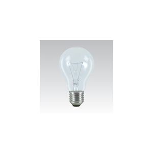 Průmyslová speciální žárovka E27/100W/24V obraz