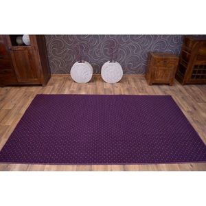 Dywany Lusczow Kusový koberec AKTUA Mateio fialový, velikost 100x150 obraz