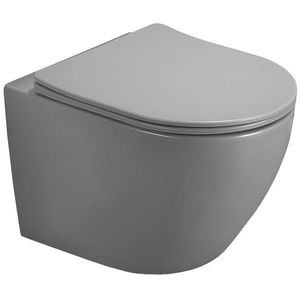 MEXEN Lena Závěsná WC mísa včetně sedátka s slow-slim, z duroplastu, světle šedá mat 30224061 obraz