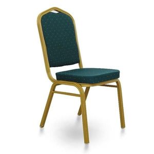 Stohovatelná židle ZINA 2 NEW Zelená obraz