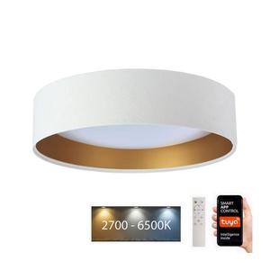 LED Stropní svítidlo SMART GALAXY LED/24W/230V Wi-Fi Tuya bílá/zlatá + DO obraz