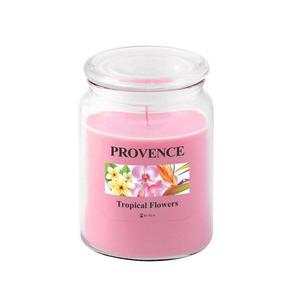 Provence Vonná svíčka ve skle 95 hodin tropické květy obraz