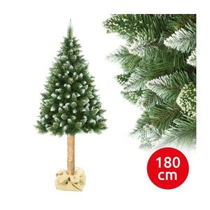 Vánoční stromek na kmenu 180 cm borovice obraz