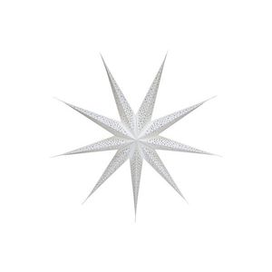 Bílá papírová hvězda Vintage - 90 cm 52000119 (52001-19) obraz