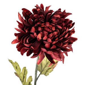 Umělá chryzantéma, v. 74 cm, vínová obraz