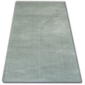 Dywany Lusczow Kusový koberec SHAGGY MICRO zelený, velikost 240x330 obraz