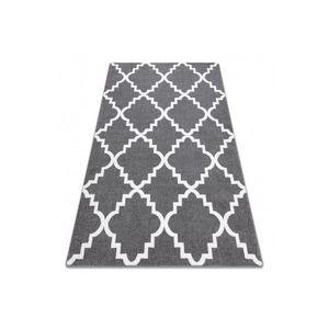 Dywany Lusczow Kusový koberec SKETCH Danny šedý /bílý trellis, velikost 140x190 obraz
