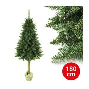 Vánoční stromek na kmenu 180 cm jedle obraz