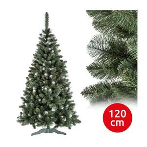 Vánoční stromek POLA 120 cm borovice obraz