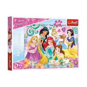 Puzzle Šťastný svět princezen/Disney Princess 200 dílků 48x34cm v krabici 33x23x4cm obraz