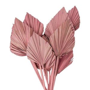 Růžová kytice sušené palmové listy - 55 cm (12ks) 5DF0029 obraz