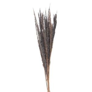 Přírodní šedá kytice sušené květy trávy - 100 cm (10ks) 5DF0035 obraz