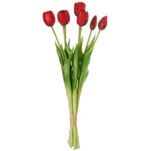 Kytice 7ks červených realistických tulipánů Tulips - 45cm 32920 obraz