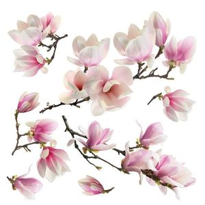 Samolepící dekorace Sakura, 30 x 30 cm obraz