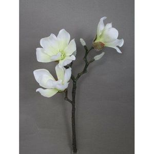 Umělá květina Magnolie bílá, 55 cm obraz