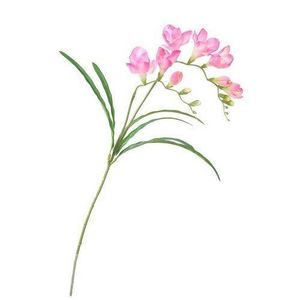 Umělá květina Frézie růžová, 57 cm obraz