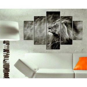 Wallity Vícedílný obraz RUNNING LION 205 92 x 56 cm obraz