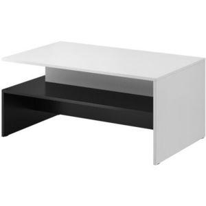 HELVETIA Konferenční stolek BOGO bílá / bílý lesk 100x45x60 bílá / bílý lesk obraz