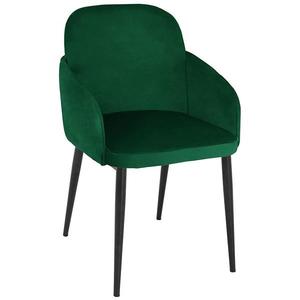 Židle Hamilton 80213A-F15 dark green obraz