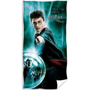 Carbotex Osuška Harry Potter Pouze Jeden Může přežít, 70 x 140 cm obraz