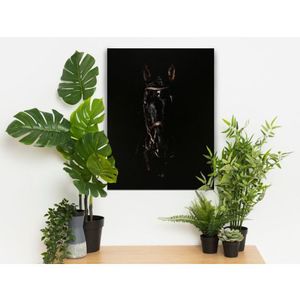 Obraz na plátně Černý hřebec, 60x80 cm obraz