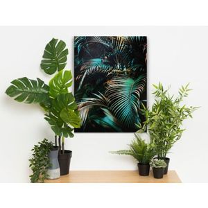 Obraz na plátně Zelené palmové listy, 60x80 cm obraz